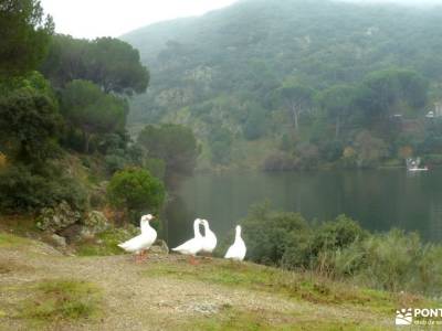 Garganta Picadas_Via Verde Alberche;fin de semana turismo rural senderismo romántico